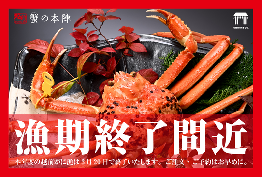 『越前がに』漁期終了間近