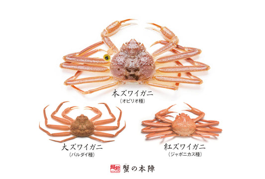 越前がにとは?3つの種類のズワイガニ