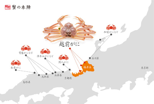 越前がにとは?各地のブランド蟹