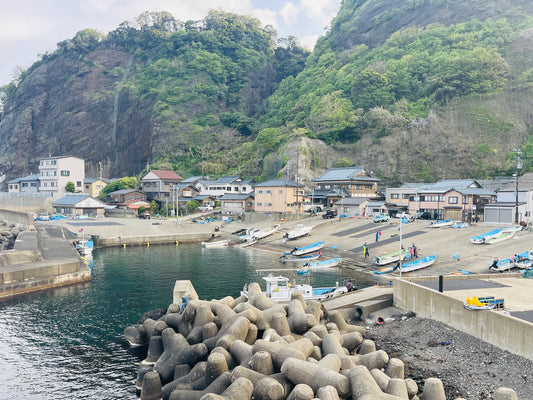 わかめ漁解禁しました!