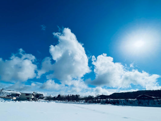 大雪も峠を越えました