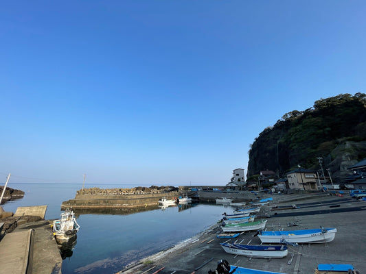 わかめ漁が始まりました!
