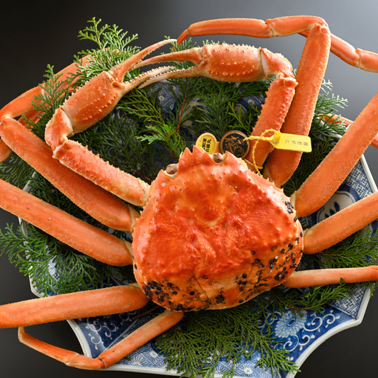 越前がに【極】(浜茹で)