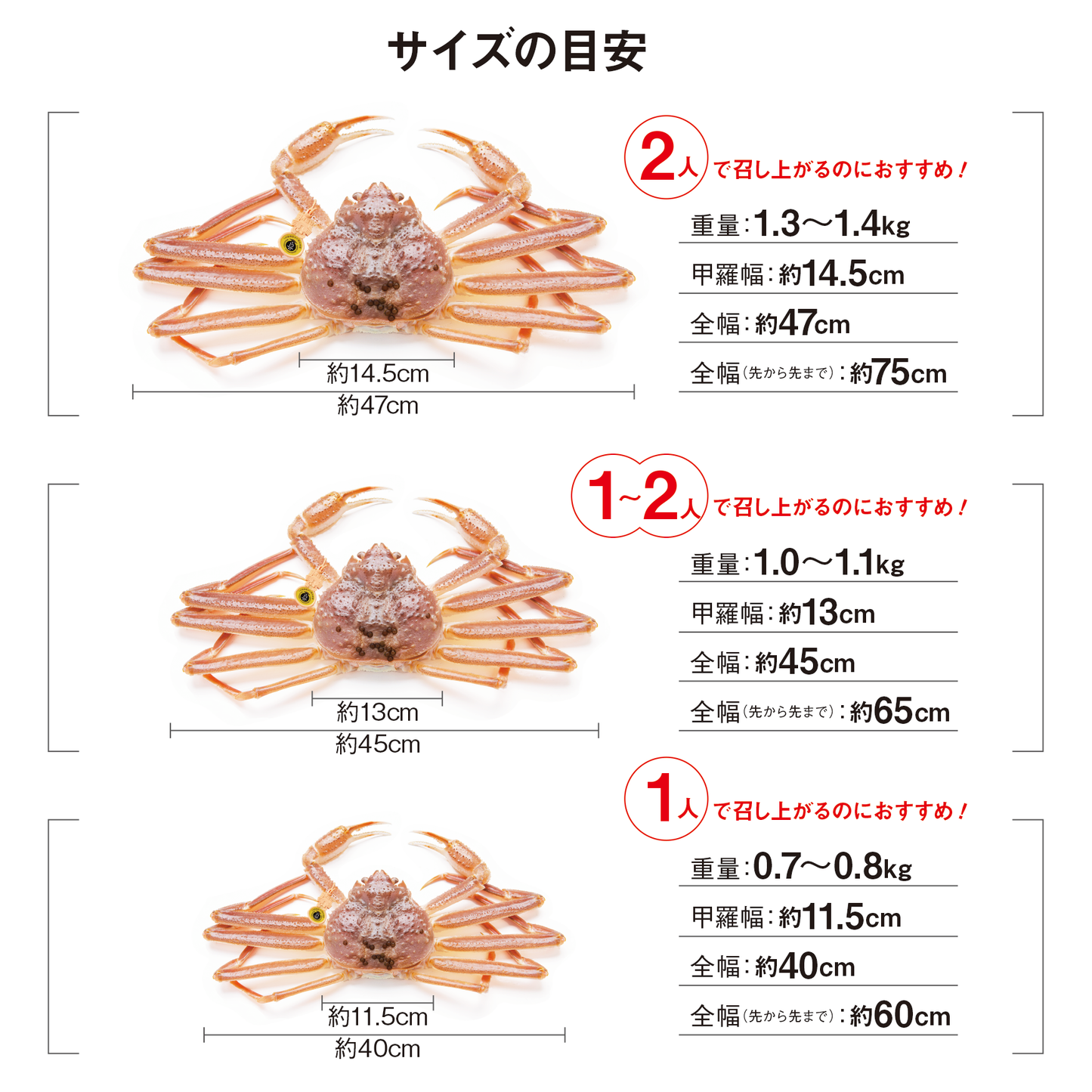越前がに(浜茹で)【1.0~1.1kg】