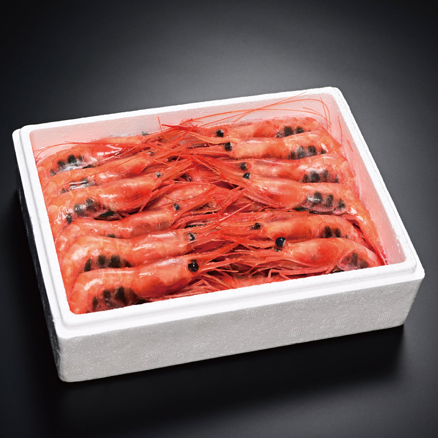 越前甘エビ500g(35尾前後)