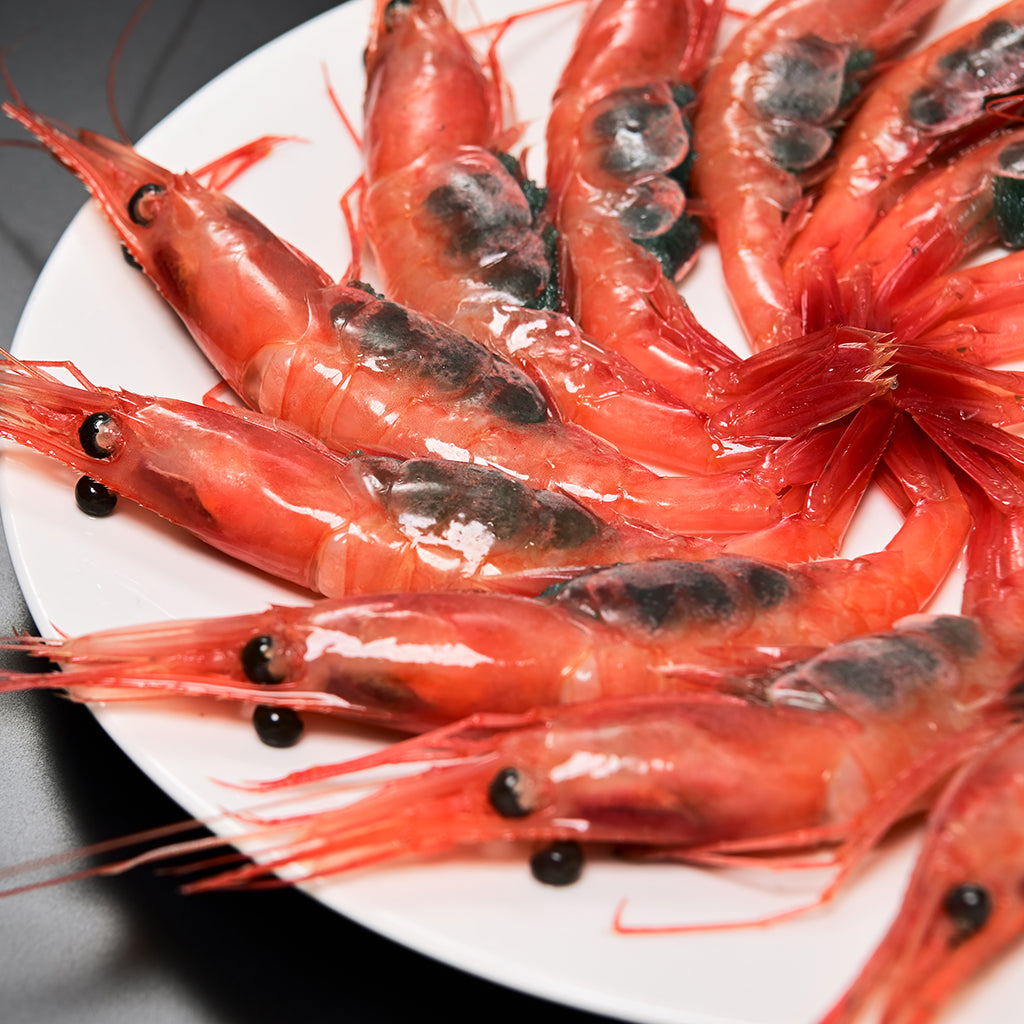 越前甘エビ500g(35尾前後)