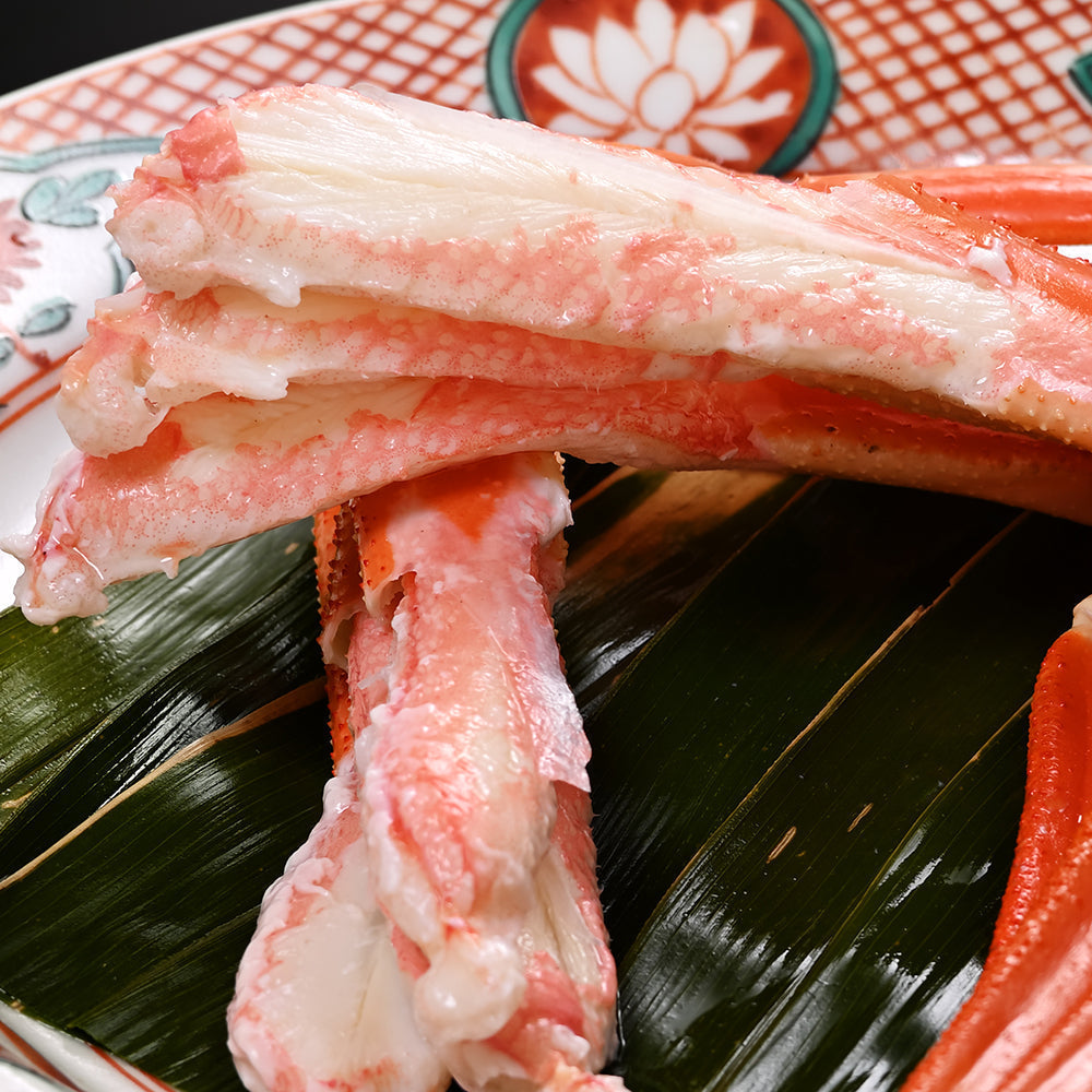 越前水がに 浜ゆで 【大】2肩 (1杯分)セット