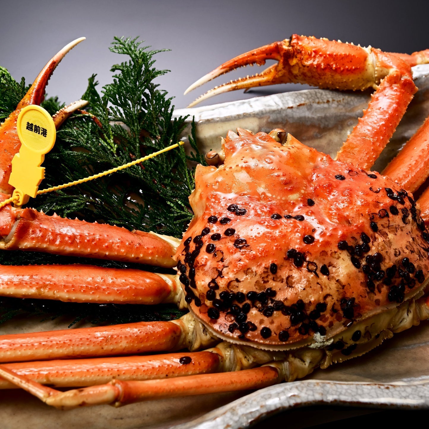 越前がに(浜茹で)【0.7~0.8kg】