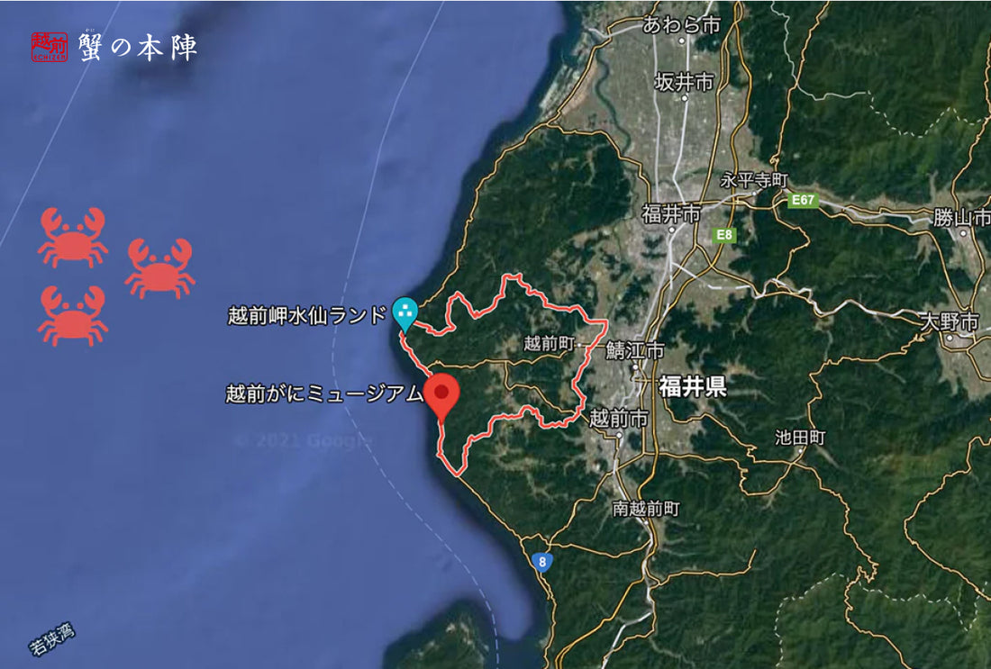越前がにの魅力　奇跡の漁場