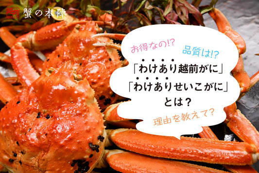 実はかなりお得です。「わけあり越前がに」「わけありせいこがに」とは？