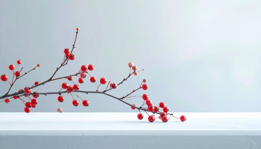 「歳末感謝セール」開催のお知らせ