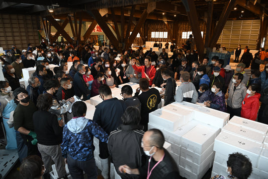 2月に入り、越前がにの価格が落ち着いてきました