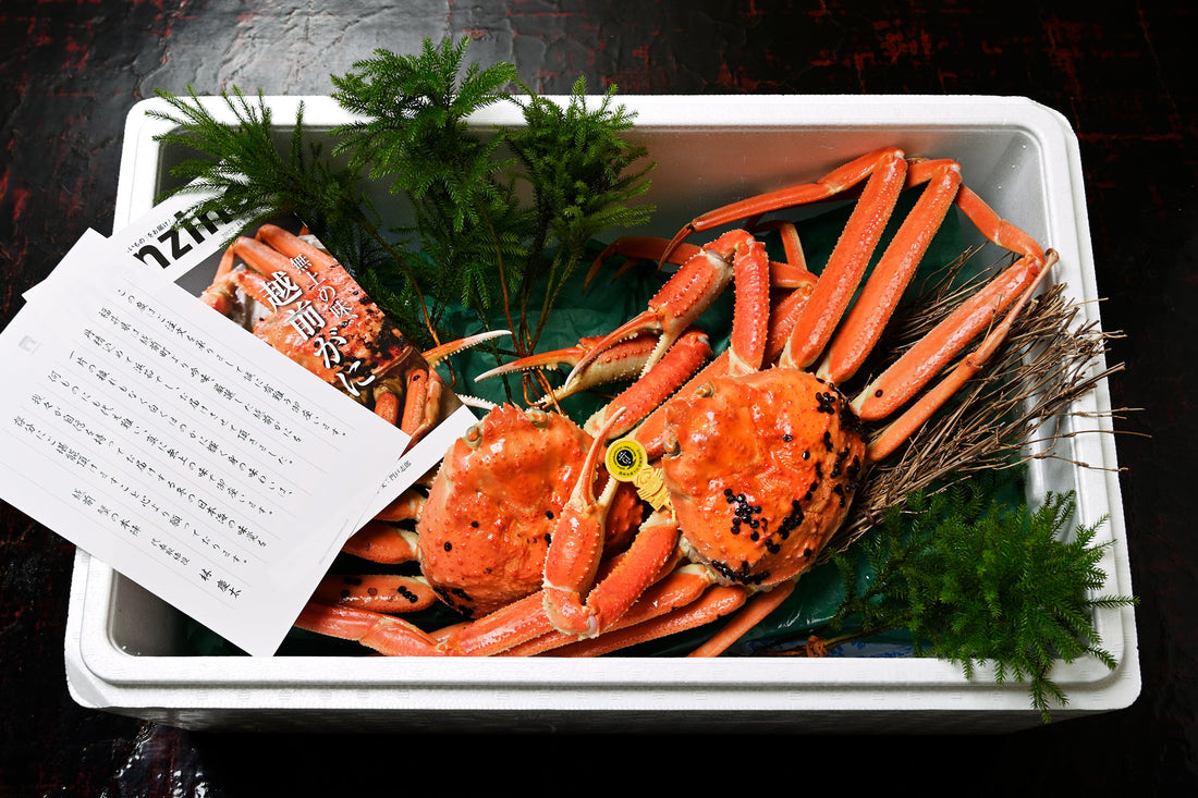 冬の贈り物の越前がに