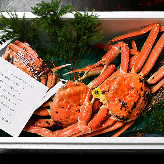 越前町ふるさと納税「かに」関連返礼品に関するお知らせ
