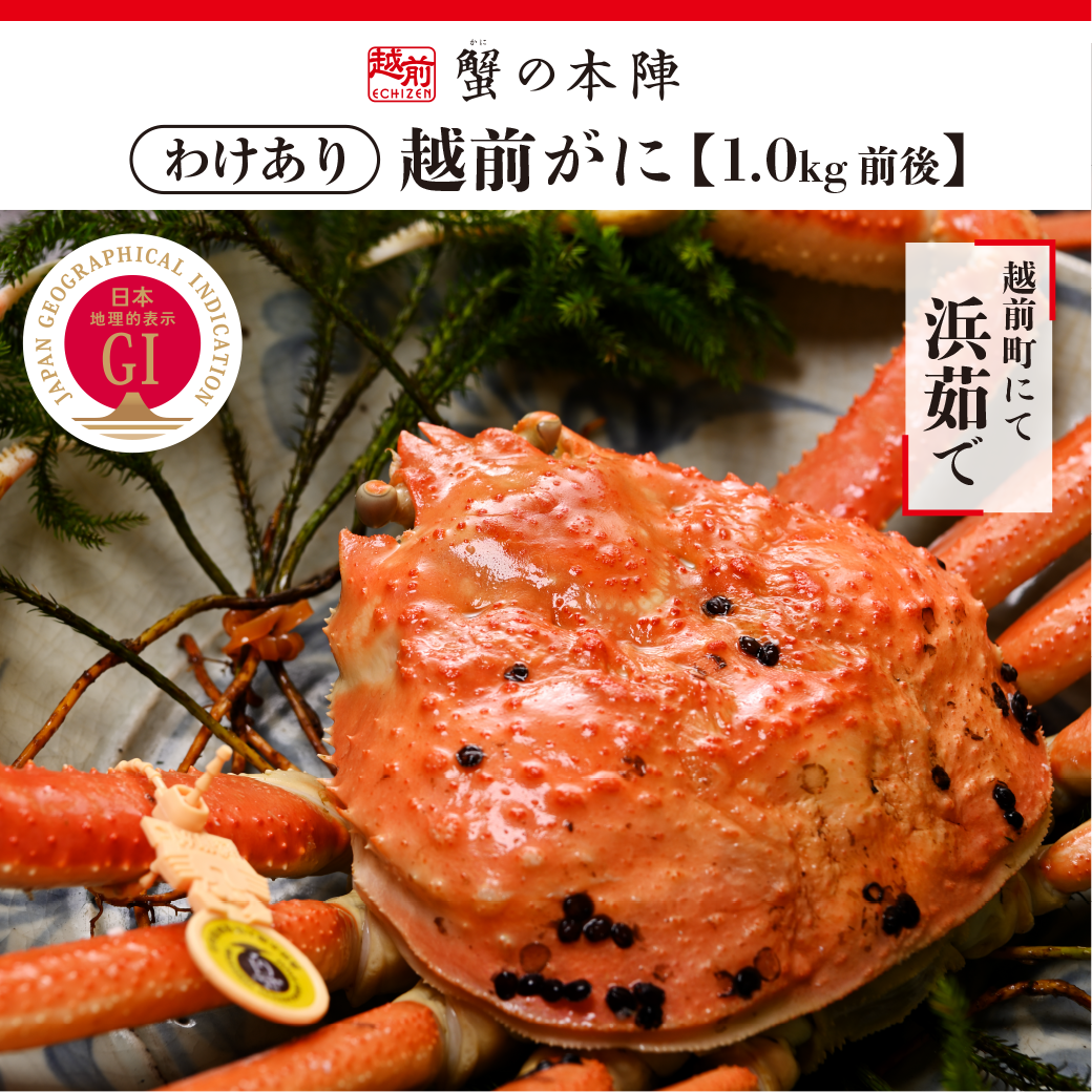 わけあり越前がに