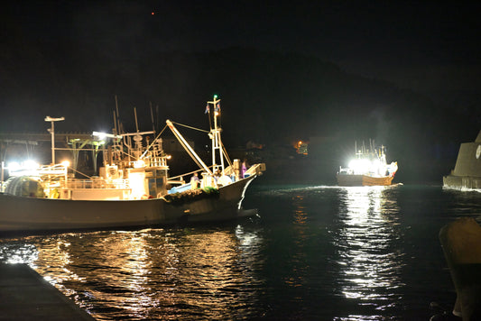 今夜、越前がに漁船 出港