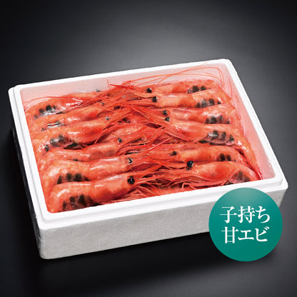 越前甘エビ500g（35尾前後） 子持ち